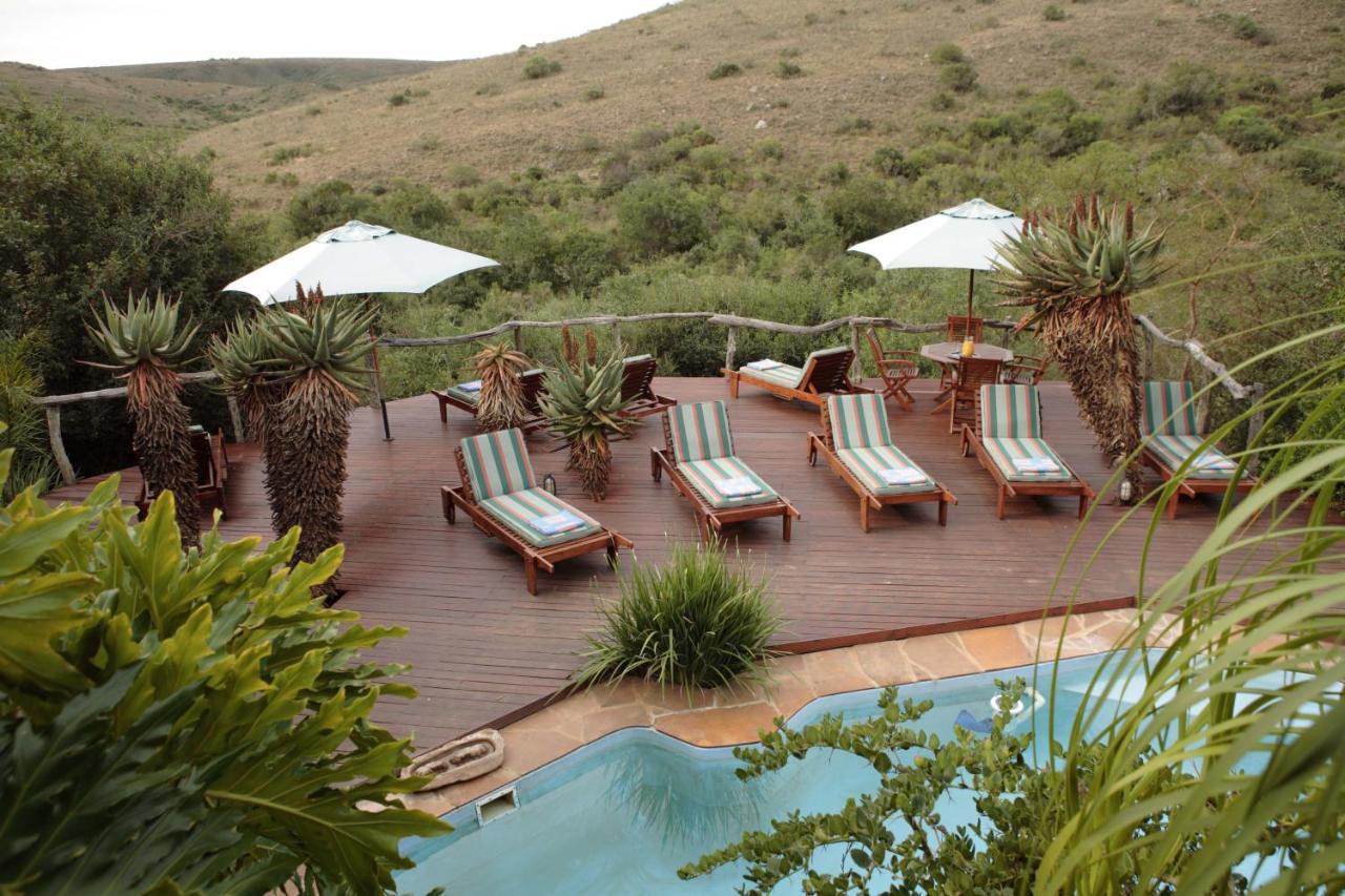 Lalibela Game Reserve Lentaba Safari Lodge Paterson 외부 사진